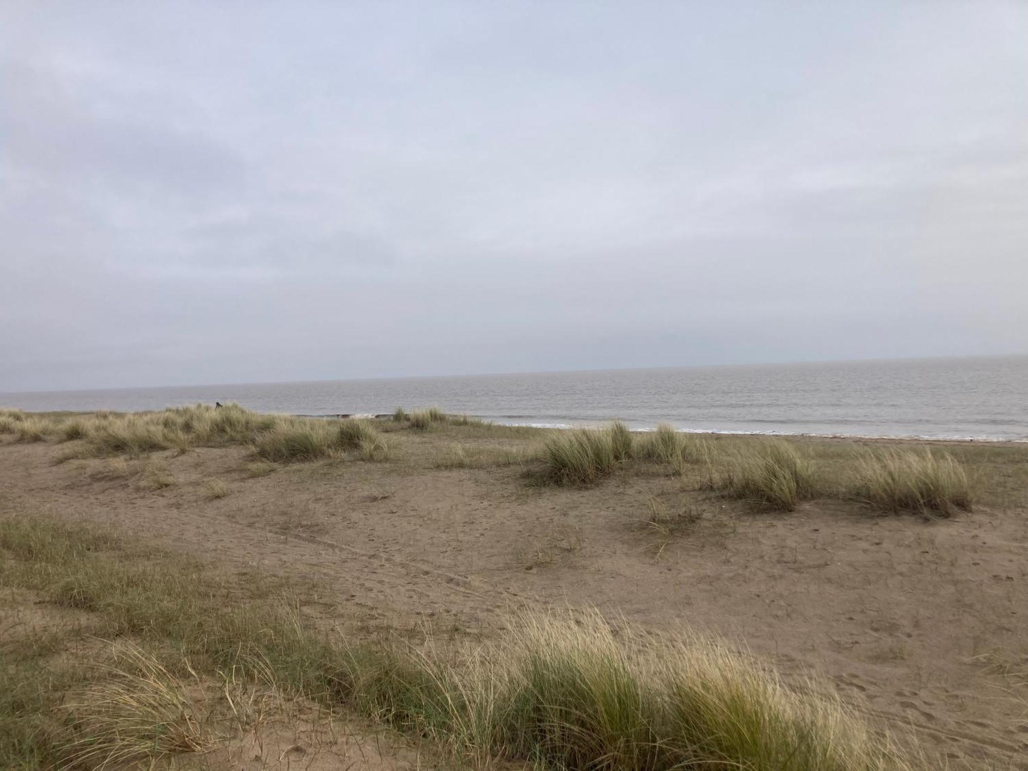 Pet Friendly Holiday Home On Golden Palm Skegness Esterno foto